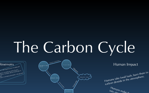 The Carbon Cycle by Simmy Jetha on Prezi