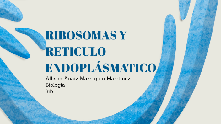 Ribosomas libres y retículo endoplasmatico by Allison Marroquin on Prezi