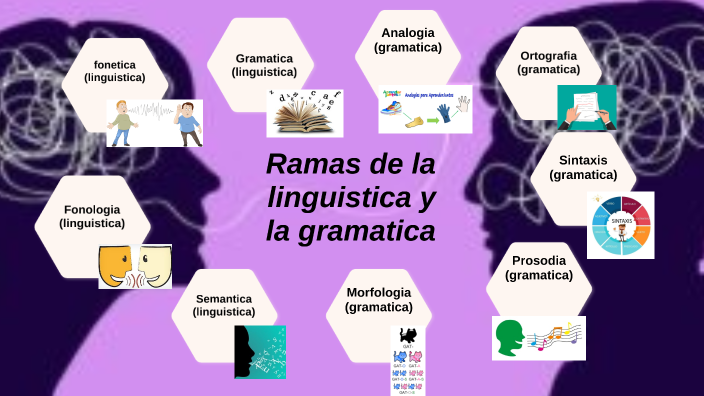 Ramas De La Lingüística By Gisell Pertuz By GISELL PAOLA PERTUZ On Prezi