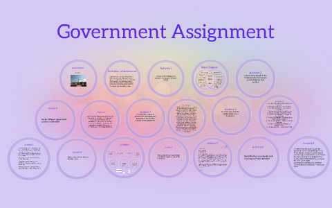 assignment on government