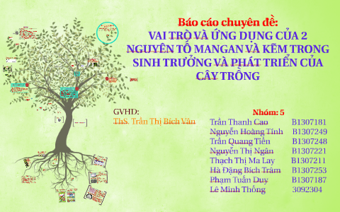 báo cáo dinh dưỡng cây trồng by Minh Thống Adam on Prezi