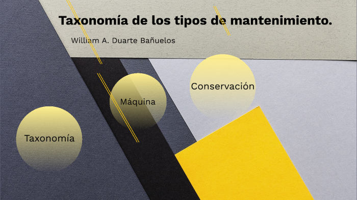 Taxonomía de los tipos de mantenimiento y conservación industrial. by