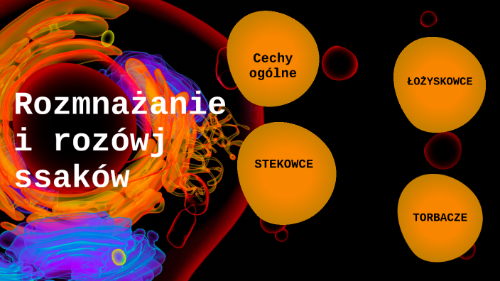 Rozmna anie I Rozw j Ssak w By Bogus aw Niestr j On Prezi rozmna-anie-i-rozw-j-ssak-w-by-bogus-aw-niestr-j-on-prezi