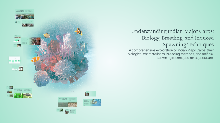 Understanding Indian Major Carps: Biology, Breeding, and Induced ...