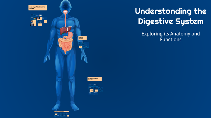 Understanding the Digestive System by السيد السيد on Prezi