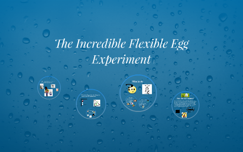 the flexible egg experiment