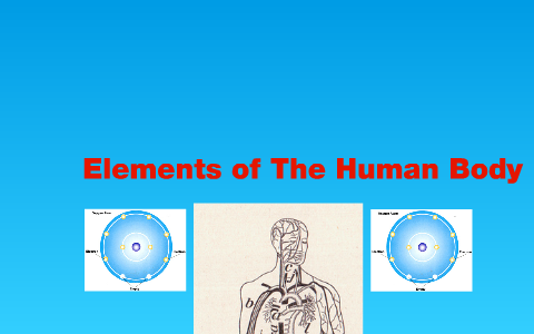 Brandon Gaeta Elements of The Human Body by Brandon Gaeta on Prezi