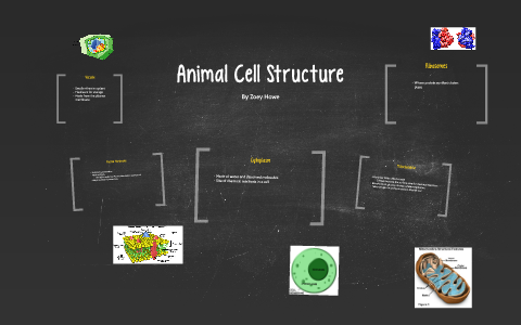 Animal Cell Structure by Zoey Howe on Prezi