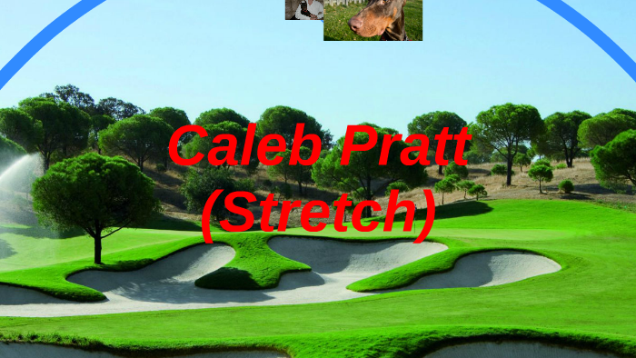 Caleb Pratt (Stretch) by Caleb Pratt on Prezi