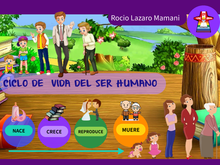 Ciclo De Vida Del Ser Humano By Rocio Lazaro Mamani On Prezi 4328