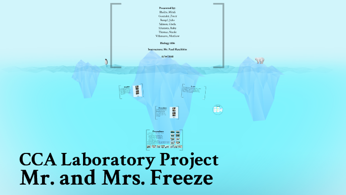 CCA Laboratory Project by Mitali Bhakta on Prezi
