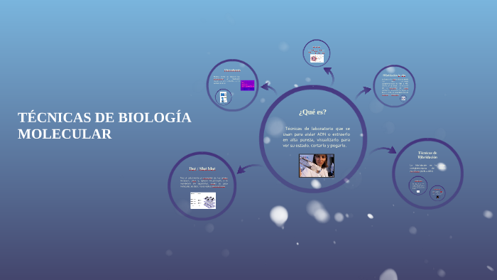 Técnicas de Biología Molecular by Maña Gds on Prezi