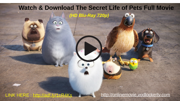 the secret life of pets movie full movie
