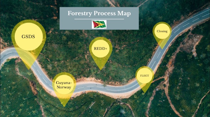 Forestry Process Map by Lawrence Lachmansingh on Prezi