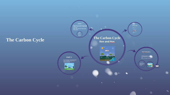 The Carbon Cycle by on Prezi