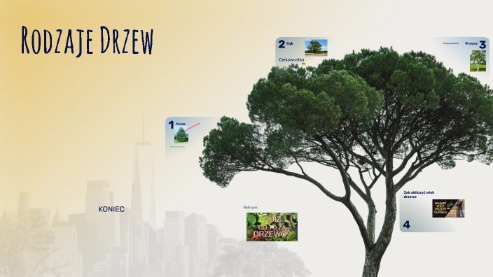 Rodzaje drzew by Marek Kowal on Prezi