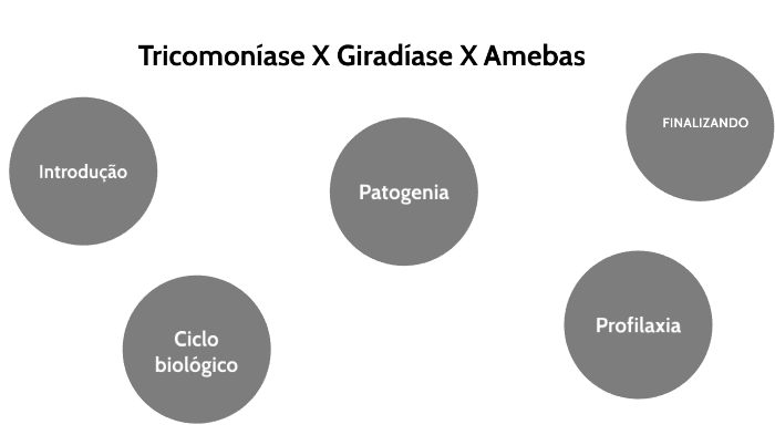 tritrichomonas muris morfologia