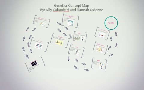Genetics Concept Map by Hannah Osborne on Prezi