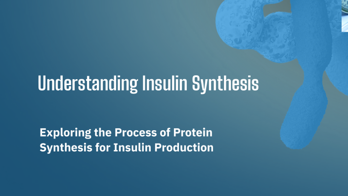 Understanding Insulin Synthesis by SM - 10ZZ 737061 Central Peel SS on ...