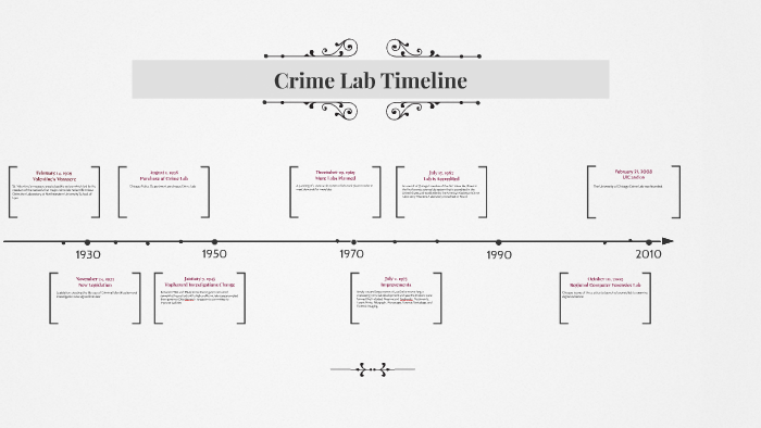 Timeline Template Crime Forensic Science History Timeline Project Vrogue