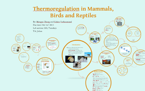 Thermoregulation in Mammals, Birds and Reptiles by Golara Fd on Prezi