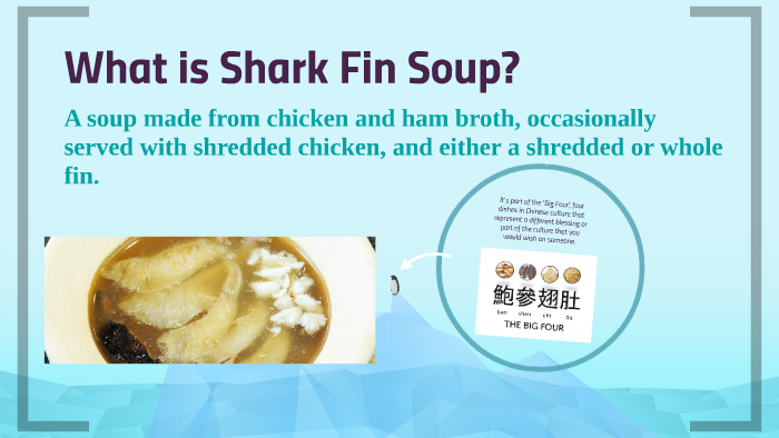 shark fin soup essay