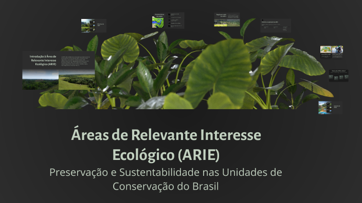 Áreas de Relevante Interesse Ecológico (ARIE) by ARTHUR DA SILVA on Prezi