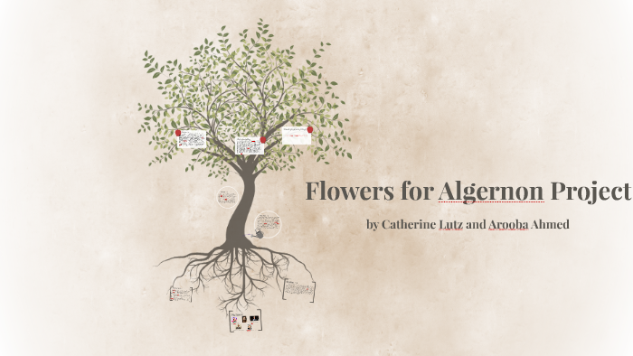 Flowers For Algernon By Arooba Ahmed On