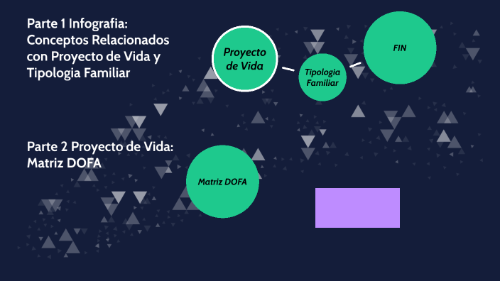Parte 1 Infografia Conceptos Con Proyecto De Vida Relacionados Y Tipologia Familiar By Daniela 9763
