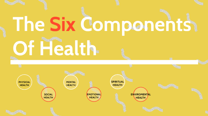 the-six-components-of-health-by-emma-patlovany