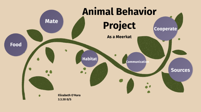 Animal Behavior Project By Elizabeth O'Hara On Prezi