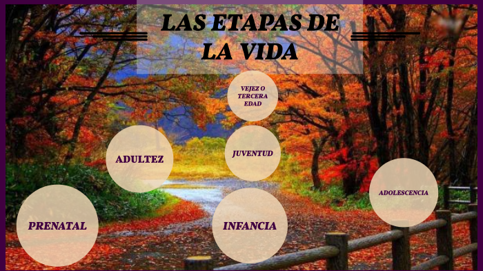 LAS ETAPAS DE LA VIDA by Mary Ajiataz on Prezi