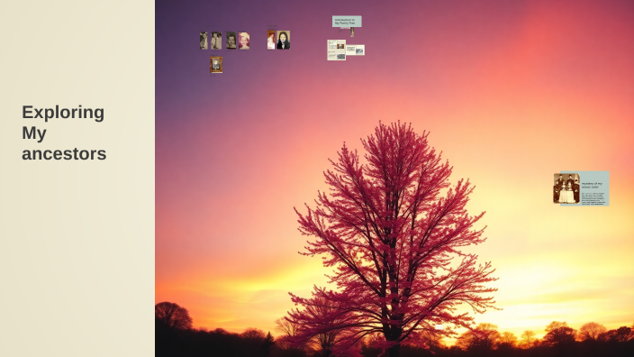 Exploring My Family Tree by Celia El Nouri on Prezi
