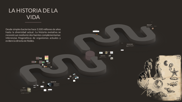 LA HISTORIA DE LA VIDA by Maria camila Osorio on Prezi