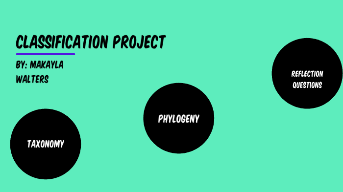 Classification Project by Makayla Walters on Prezi