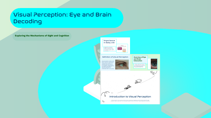 Visual Perception: Eye and Brain Decoding by Adwaith Nair on Prezi