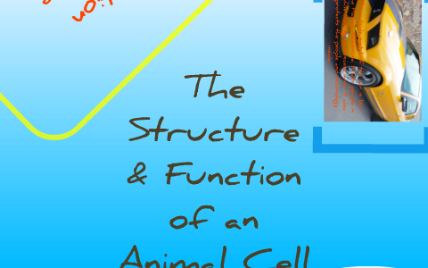 Structure of an Animal Cell by Tarae' Barnes on Prezi