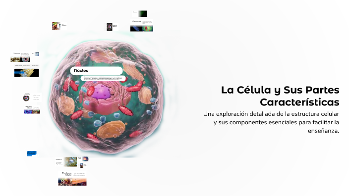 La Célula y Sus Partes Características by Alexander Acosta on Prezi