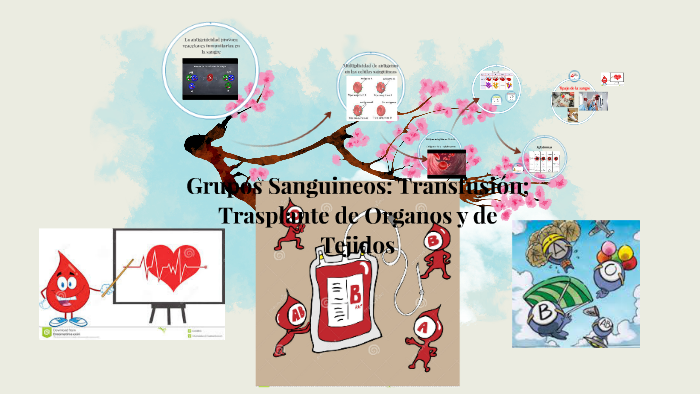 Grupos Sanguíneos: Transfusión; Trasplante de Organos y de T by