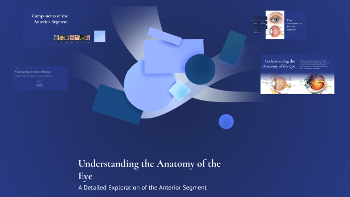 Understanding the Anatomy of the Eye by archana bartwal on Prezi