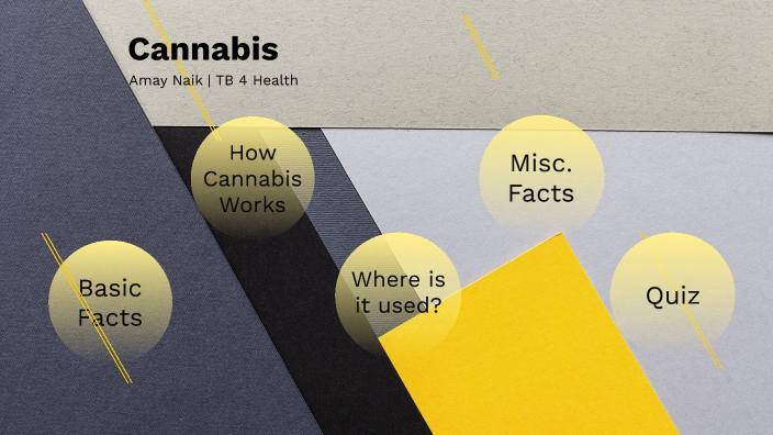 Drug Awareness Project Presentation - Amay Naik by Amay Naik on Prezi