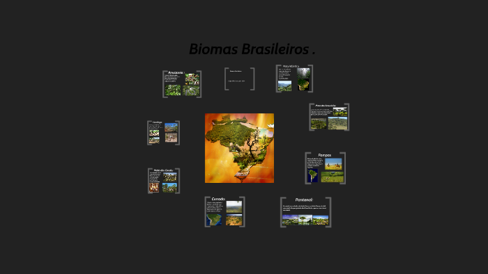 biomas brasileiros by Gabriel Mariano on Prezi