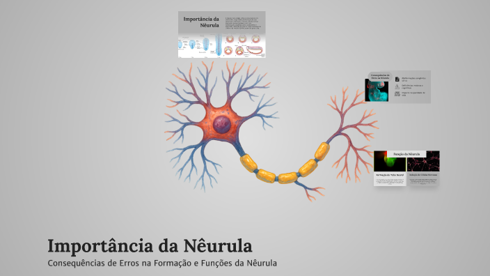 Importância da Nêurula by Daniel Northfleet on Prezi