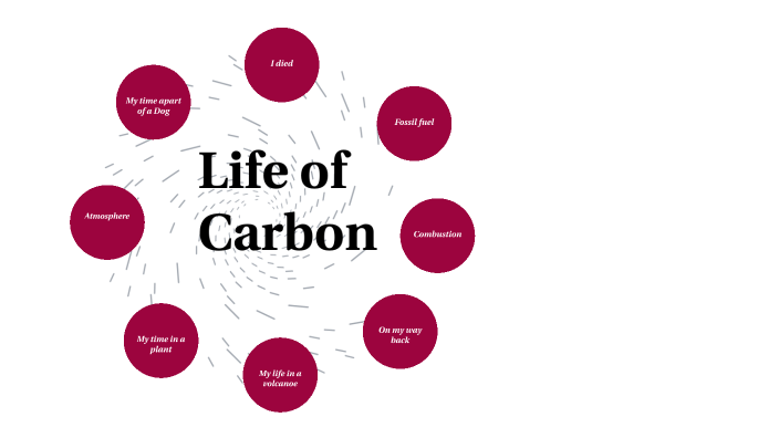 Carbon Cycle Project by Samuel Rampey on Prezi