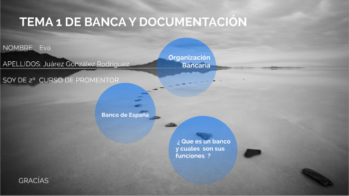 Funciones Y Organizacion Del Banco De España - Banco Consejos