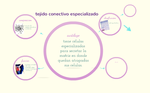 Tejido Conectivo Especializado By Anabel Escobar Barrientos