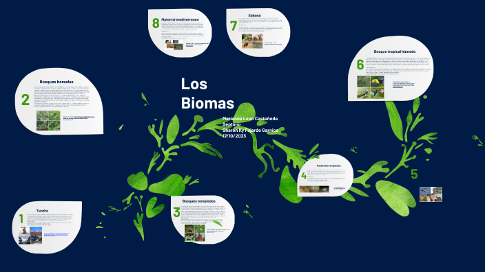 Los biomas by marianna leon castañeda on Prezi