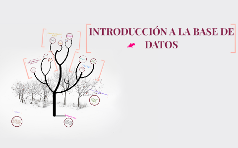 INTRODUCCIÓN A LA BASE DE DATOS by on Prezi