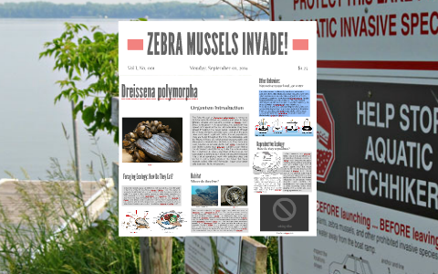 ZEBRA MUSSELS INVADE! by Brandon Young
