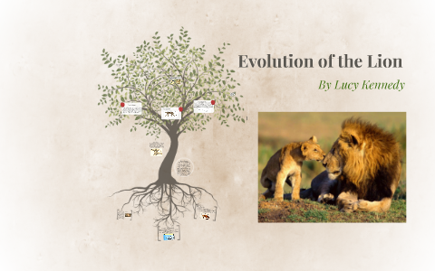 Evolution of the Lion by Lucy Kennedy on Prezi